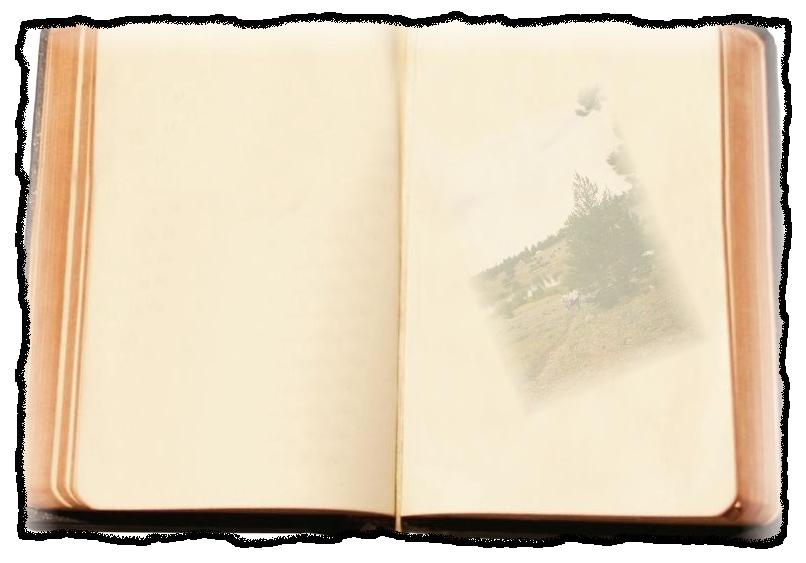 open-book-cover-clip-art-book_open-4